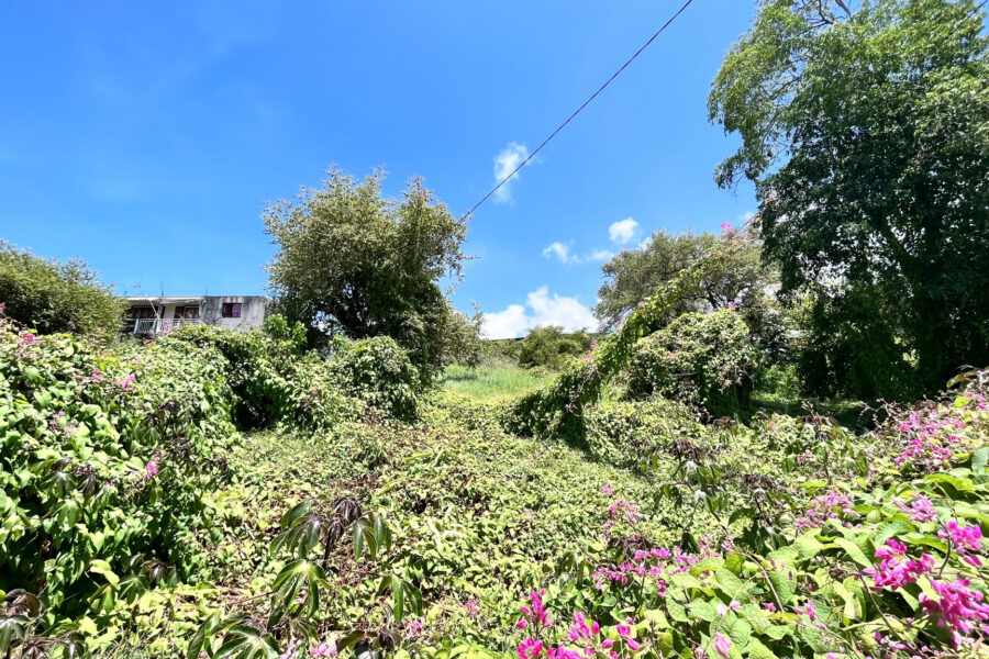 Terrain à vendre à Vieux-habitants