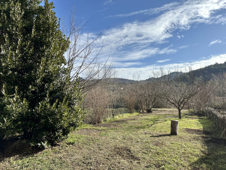 Grande maison de village avec accès à la rivière – 8 pièces – 3 chambres – 168 m²