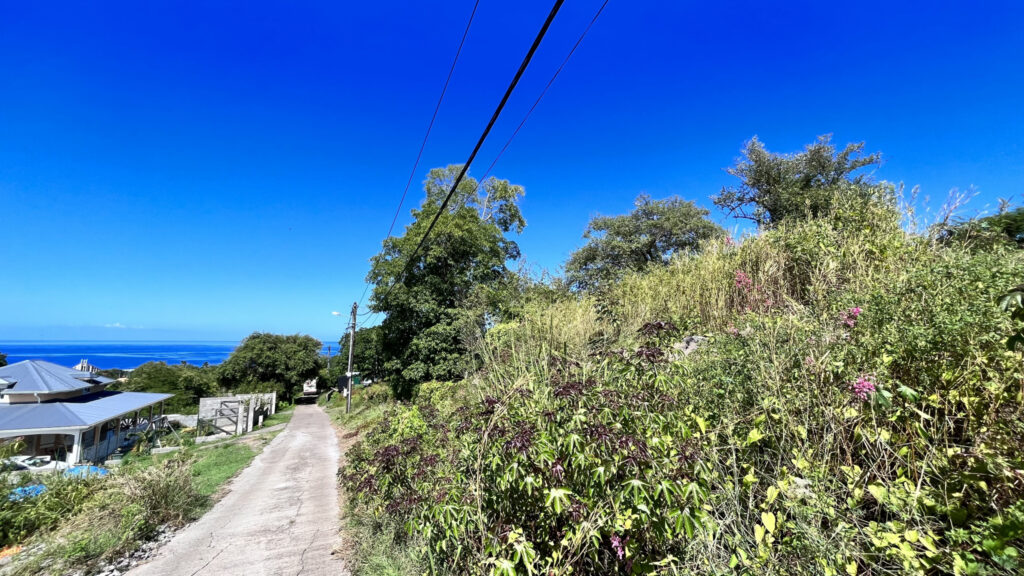 Terrain vue mer Vieux-Habitants – 900 m²