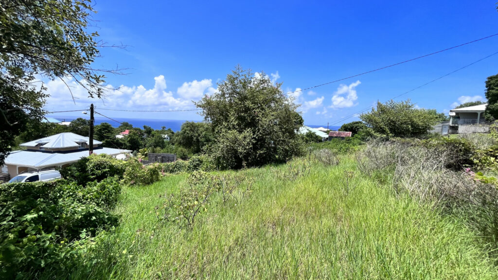Terrain vue mer Vieux-Habitants – 900 m²