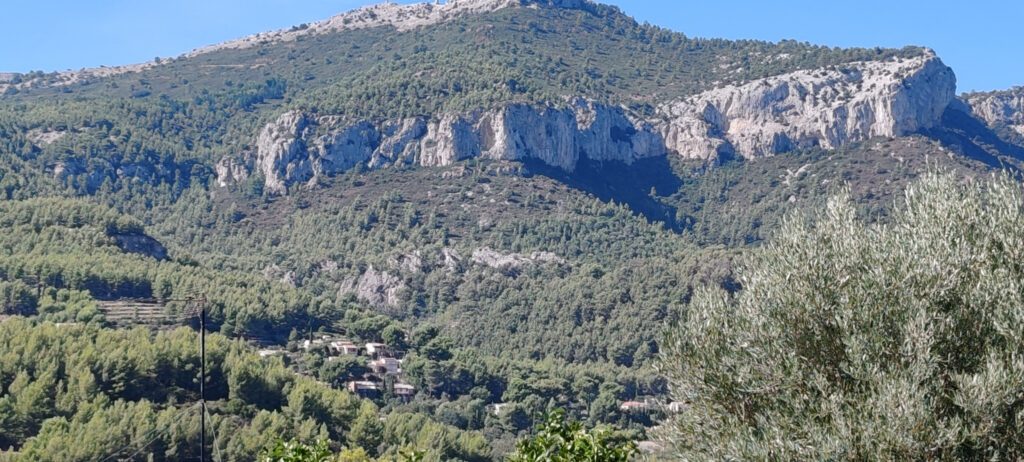 Bas de Villa avec 450m2 de terrain. – 2 pièces – 1 chambre – 80 m²