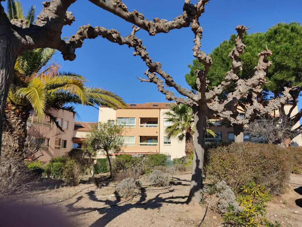 Appartement T2 +TERRASSE – 2 pièces – 1 chambre – 33 m²