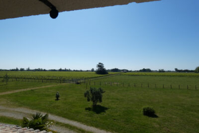 8 hectares, maison d’architecte et dépendances – 12 pièces – 4 chambres – 238 m²