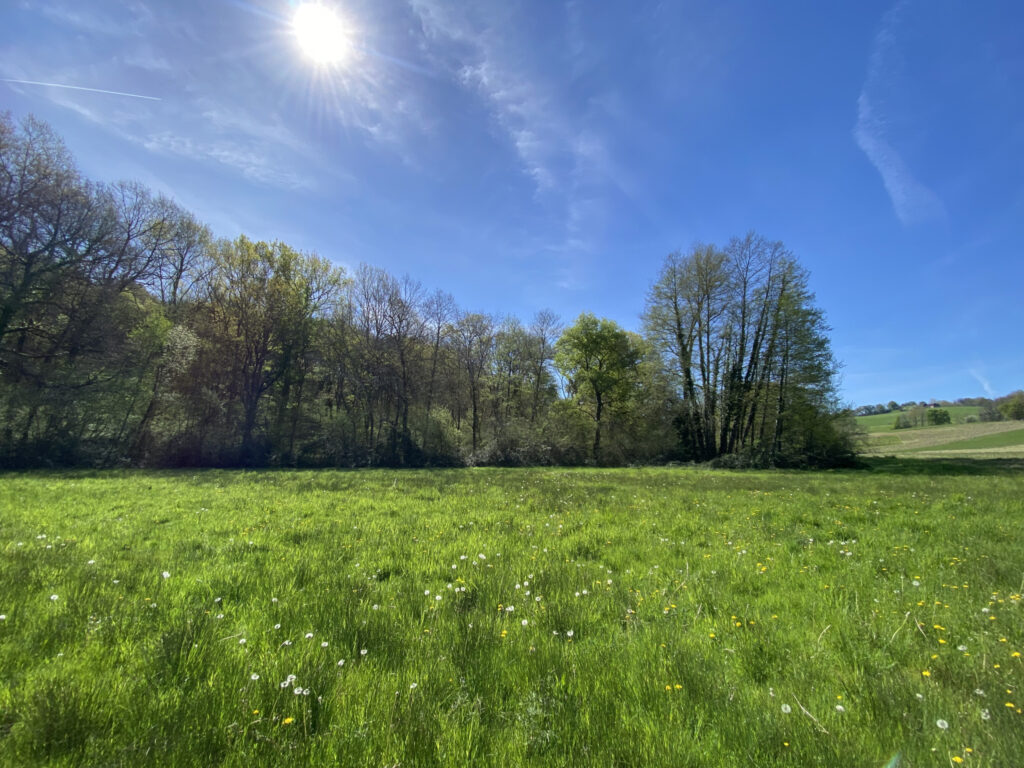 Propriété 11 Hectares Vue Pyrénées – 7 pièces – 5 chambres – 170 m²