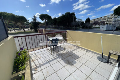 Studio vue parc avec grande terrasse – 1 pièce – NR chambres – 27 m²