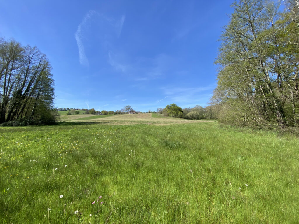 Propriété 11 Hectares Vue Pyrénées – 7 pièces – 5 chambres – 170 m²