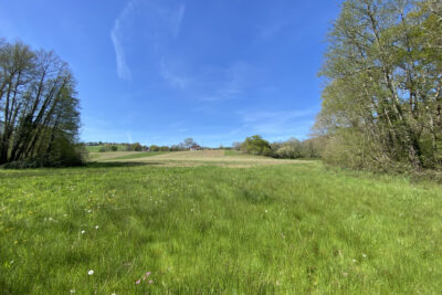 Propriété 11 Hectares Vue Pyrénées – 7 pièces – 5 chambres – 170 m²