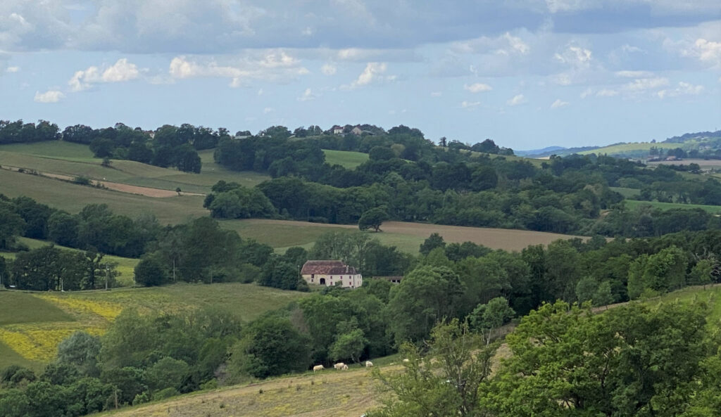 Propriété 11 Hectares Vue Pyrénées – 7 pièces – 5 chambres – 170 m²