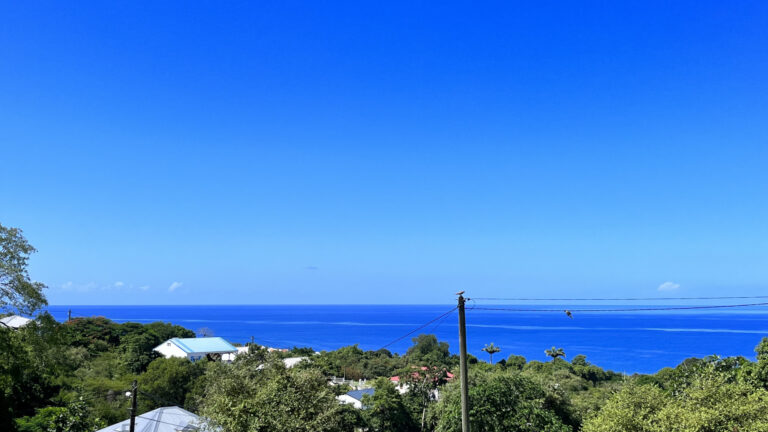 Terrain vue mer Vieux-Habitants – NR pièces – NR chambres – 900 m²