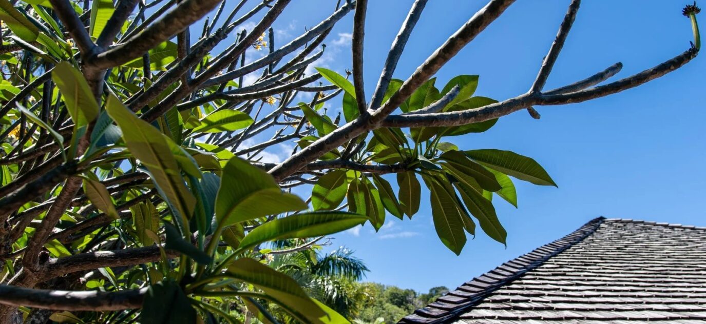 Majestueuses Villas à Moorea – Oasis Tropicale avec Vue sur le Lagon et Tahiti – 10 pièces – 5 chambres – 408 m²