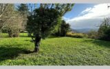 vente terrain – 1426.00 m²