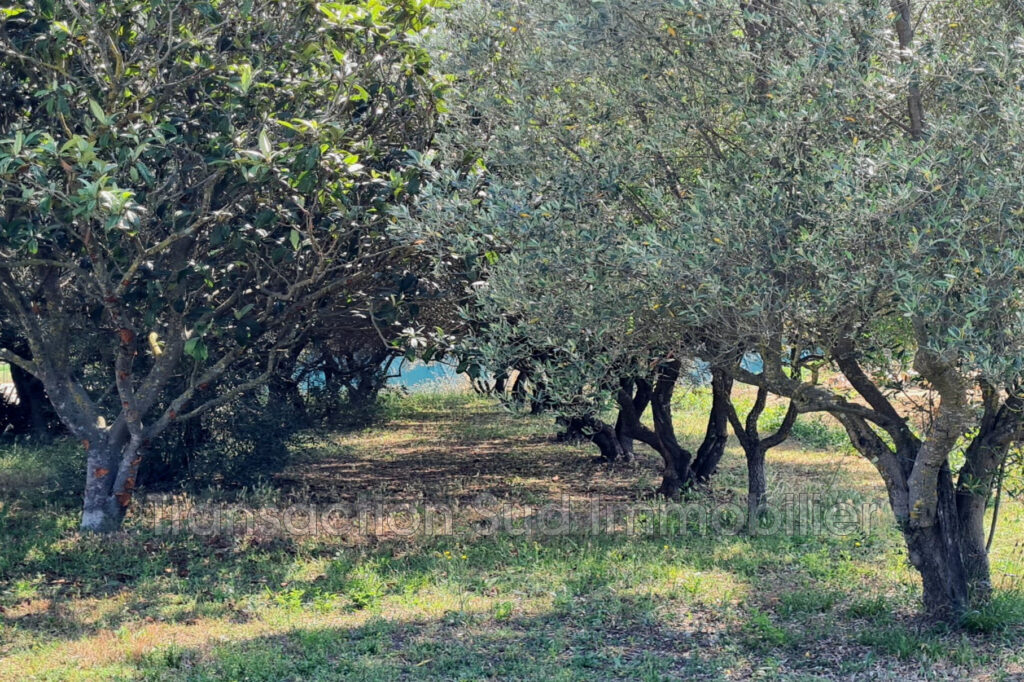 vente terrain – 1678.00 m²