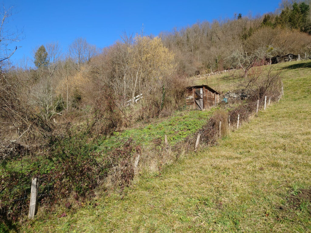 Maison de ville rénovée dans un village dynamique  – 3 pièces – 1 chambre – 65 m²