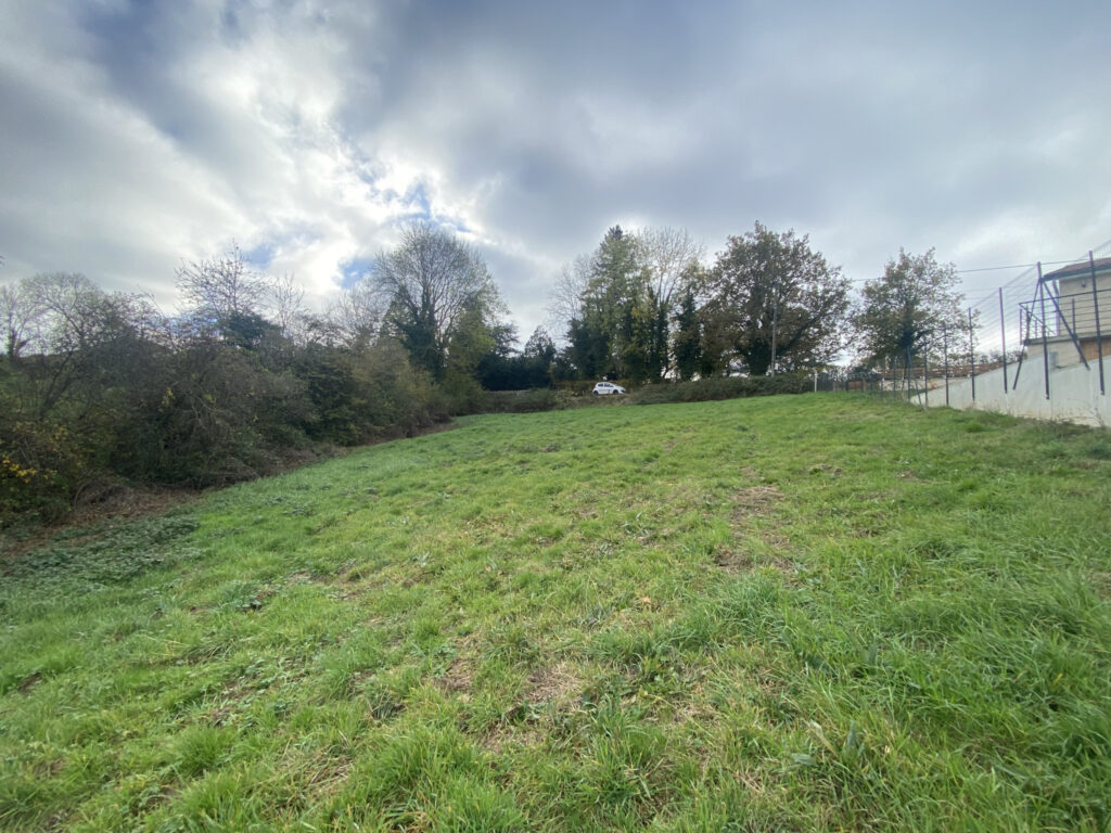 Terrain constructible de 1754 m2 à VENDRANGES – 1754 m²