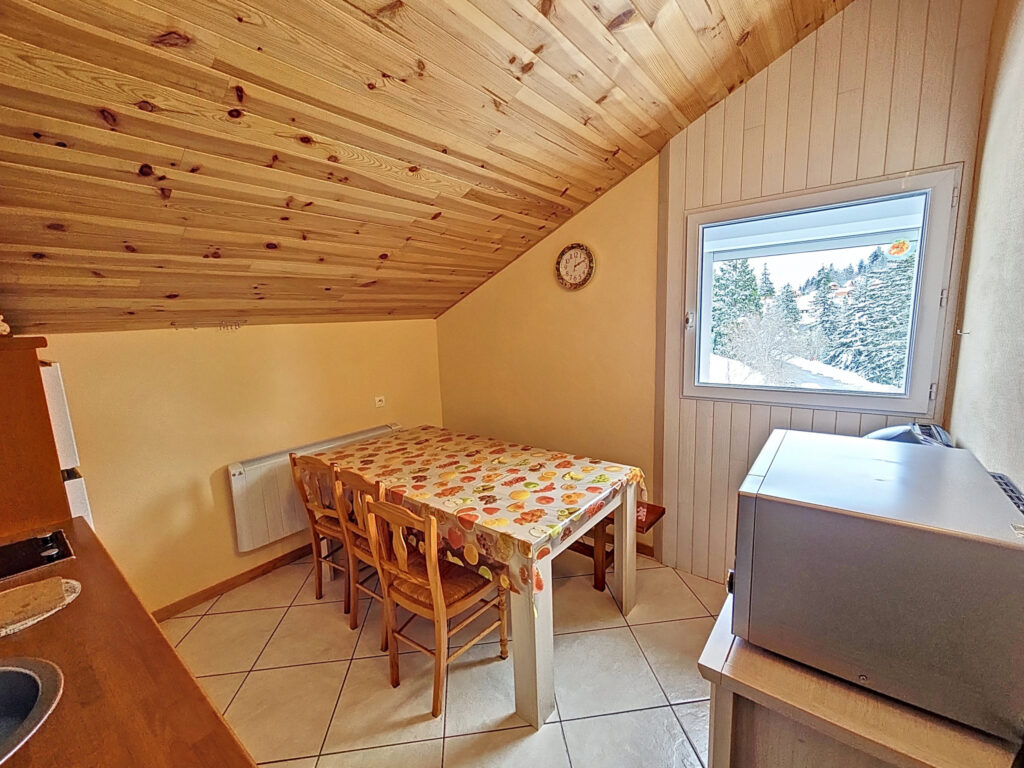 Appartement de 46m2 avec vue imprenable sur la station GUZET – 3 pièces – 2 chambres – 46 m²