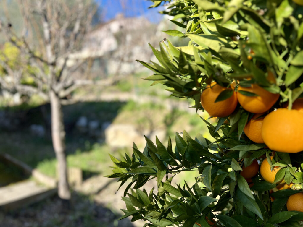 BLAUSASC – VILLA PROVENÇALE – PISCINE – 5 pièces – 3 chambres – 160 m²