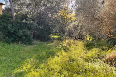 EXCLISIVITÉ LA FARLEDE CADRE CHAMPETRE MAISON  – 4 pièces – 2 chambres – 77 m²