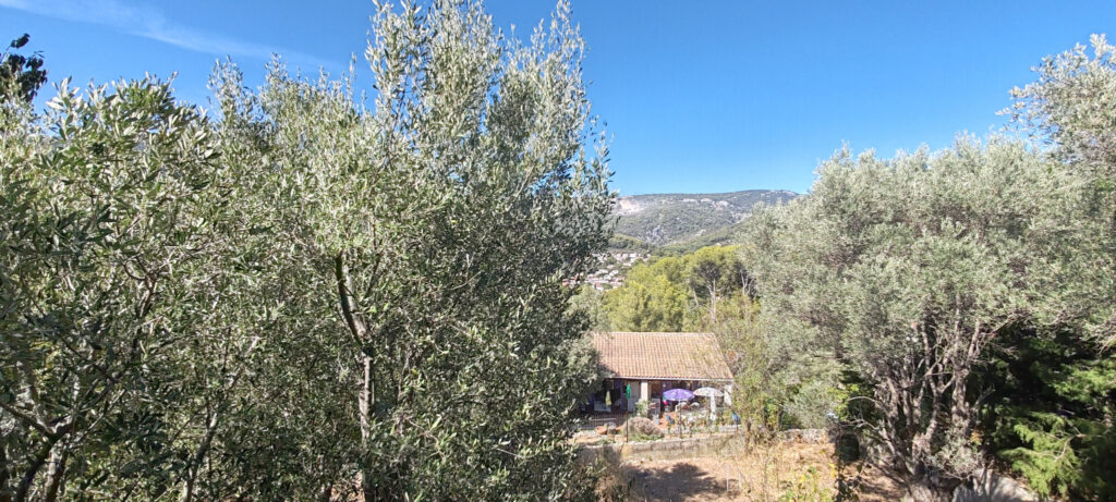 Bas de Villa avec 450m2 de terrain. – 2 pièces – 1 chambre – 80 m²