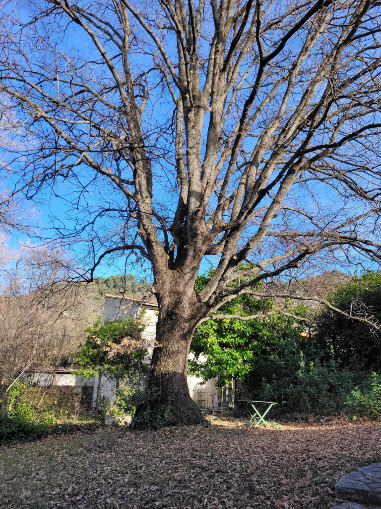 Maison Nyons 26110 – 4 pièces – 3 chambres – 94 m²