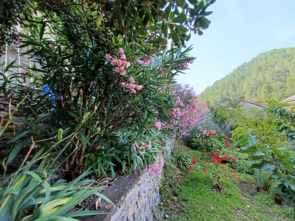 Charmante propriété de 111 m2 rénovée, avec appartement  – 6 pièces – 4 chambres – 111 m²