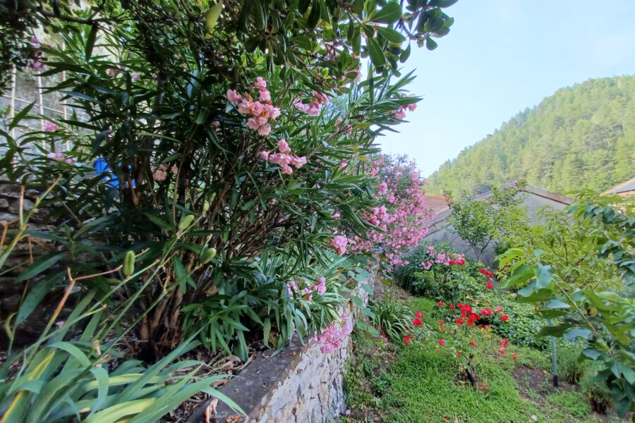 Maison à vendre à Vals-les-bains