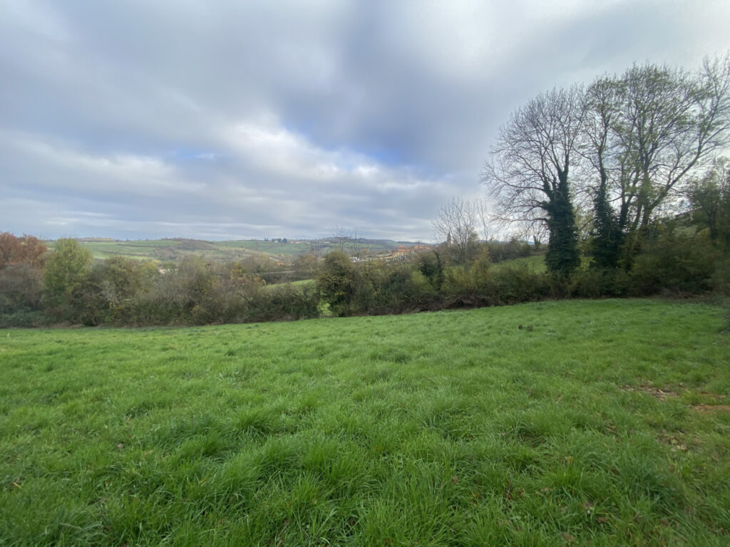 Terrain constructible de 1754 m2 à VENDRANGES – 1754 m²