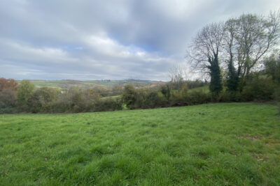 Terrain constructible de 1754 m2 à VENDRANGES – NR pièces – NR chambres – 1754 m²