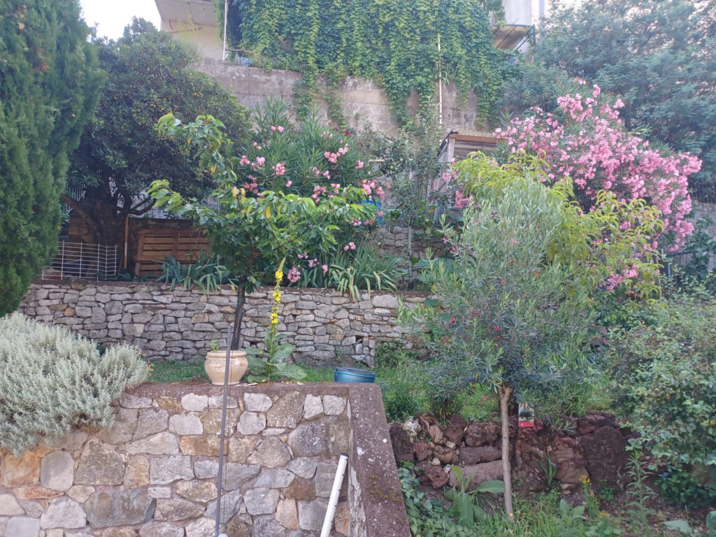 Charmante propriété de 111 m2 rénovée, avec appartement  – 6 pièces – 4 chambres – 111 m²