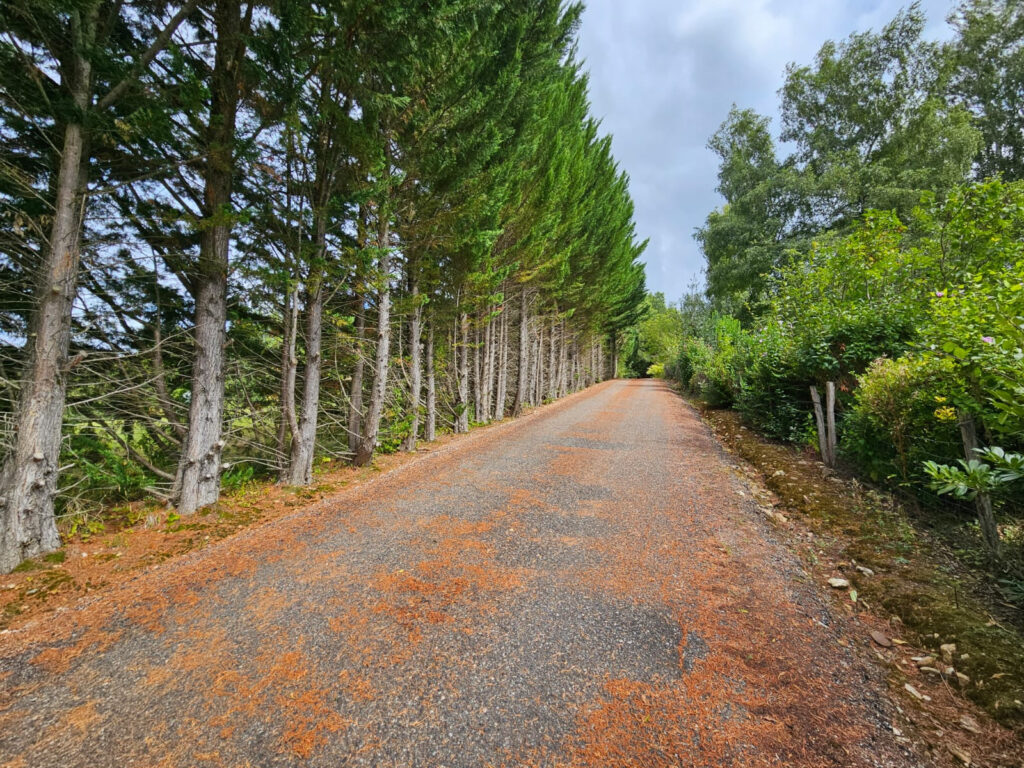 Maison 5 Pièces 171m2 Piscine Couverte – 5 pièces – 4 chambres – 171.29 m²