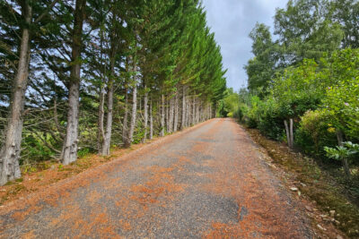 Maison 5 Pièces 171m2 Piscine Couverte – 5 pièces – 4 chambres – 171.29 m²