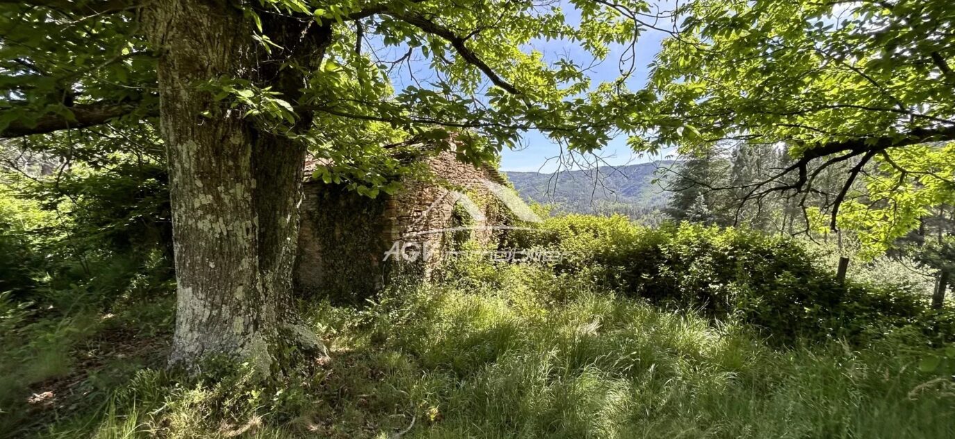 Terrain à bâtir de 2 041m² Collet-De-Dèze Lozère – NR pièces – NR chambres – 2041 m²