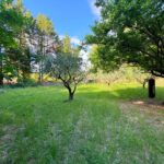 Propriété de charme en pleine nature – 4 pièces – 4 chambres – 120 m²