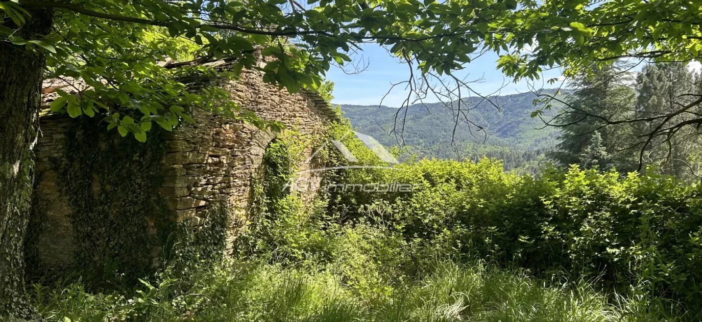 Terrain à bâtir de 2 041m² Collet-De-Dèze Lozère – NR pièces – NR chambres – 2041 m²