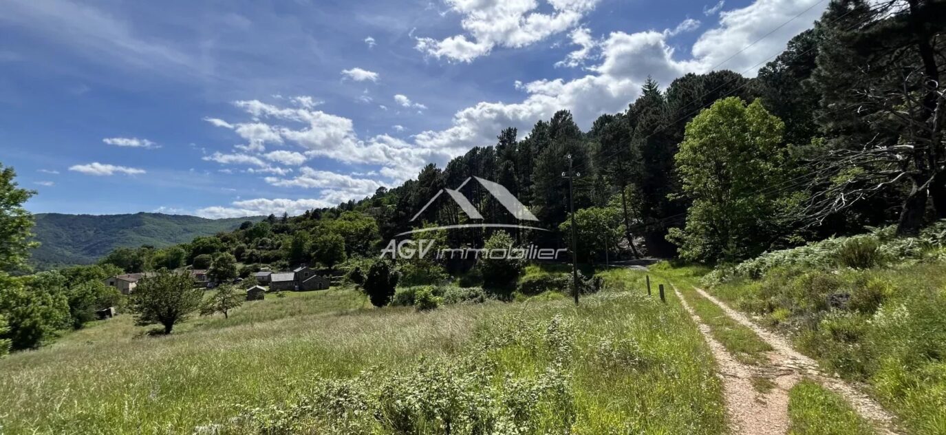 Terrain à bâtir de 2 041m² Collet-De-Dèze Lozère – NR pièces – NR chambres – 2041 m²