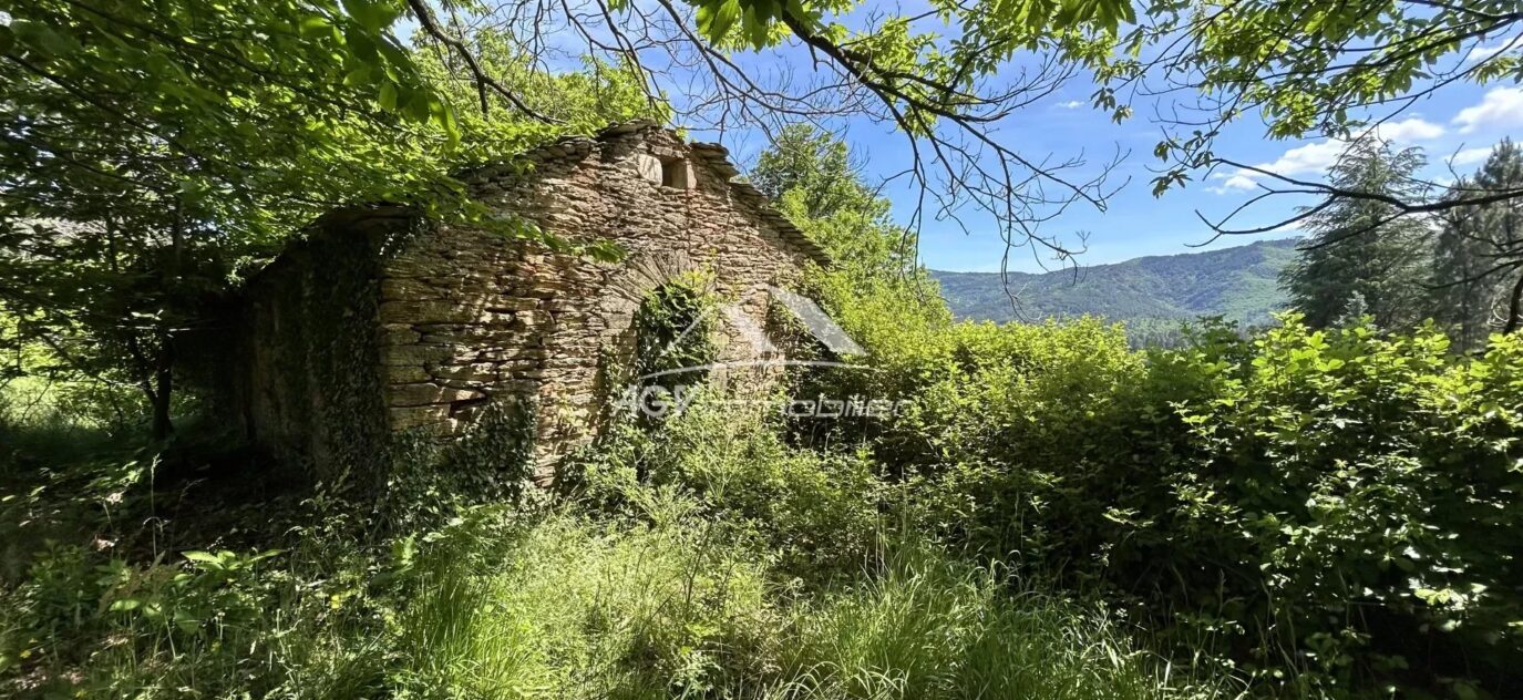 Terrain à bâtir de 2 041m² Collet-De-Dèze Lozère – NR pièces – NR chambres – 2041 m²