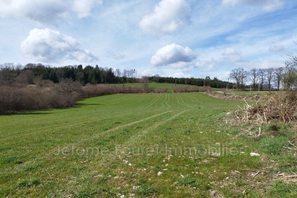 vente propriété – NR pièces – NR chambres