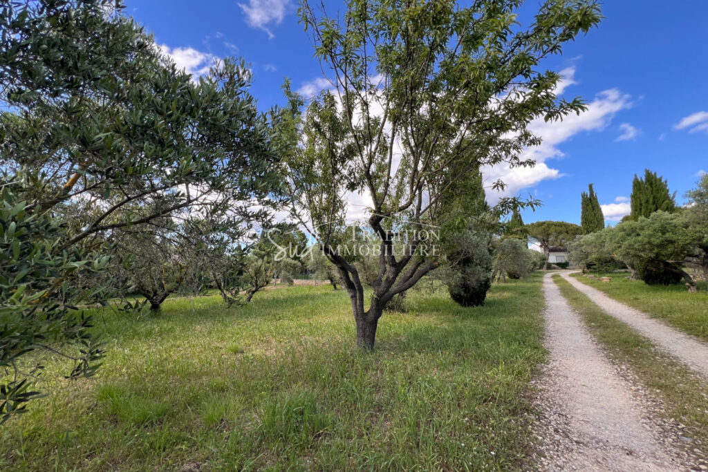 EN CAMPAGNE D’UN JOLI VILLAGE ALPILLES – 10 pièces – 5 chambres – 180.00 m²