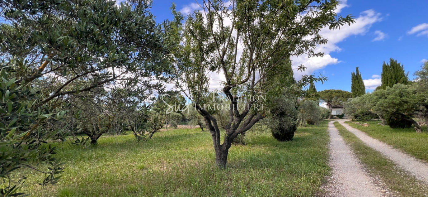 EN CAMPAGNE D’UN JOLI VILLAGE ALPILLES – 10 pièces – 5 chambres – 180.00 m²