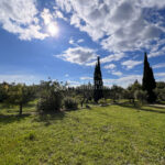 EN CAMPAGNE D’UN JOLI VILLAGE ALPILLES – 10 pièces – 5 chambres – 180.00 m²