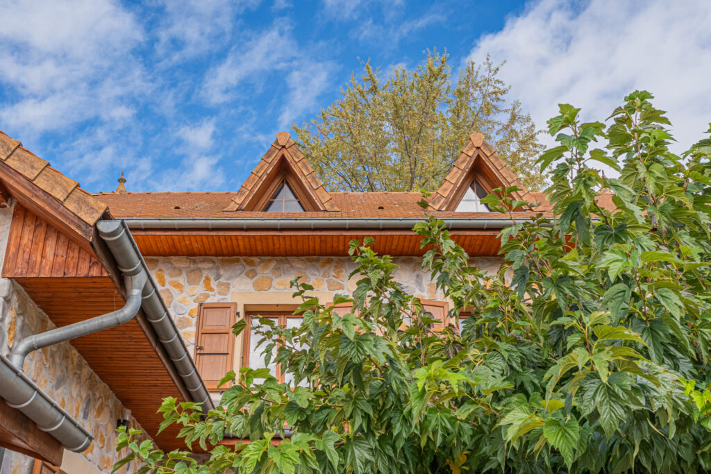 Superbe Propriété à Herbeys – Un Havre de Quiétude et de Bi – 10 pièces – 6 chambres – 4  – 432 m²