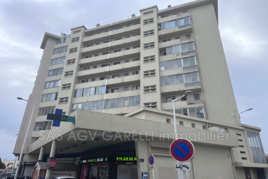 location appartement 5 Pièce(s) – 5 pièces – NR chambres – 4  – 100.00 m²