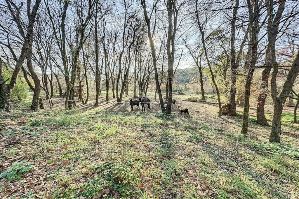 ideal chambre d’hote, a pied du village de Grimaud avec 7 cham – 9 pièces – 7 chambres – 4  – 360.00 m²