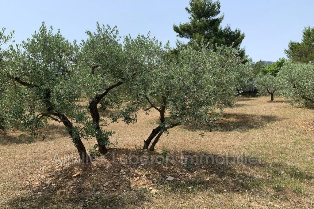 location saisonnière villa provençale 6 Pièce(s) – 6 pièces – 4 chambres – 4  – 147.00 m²