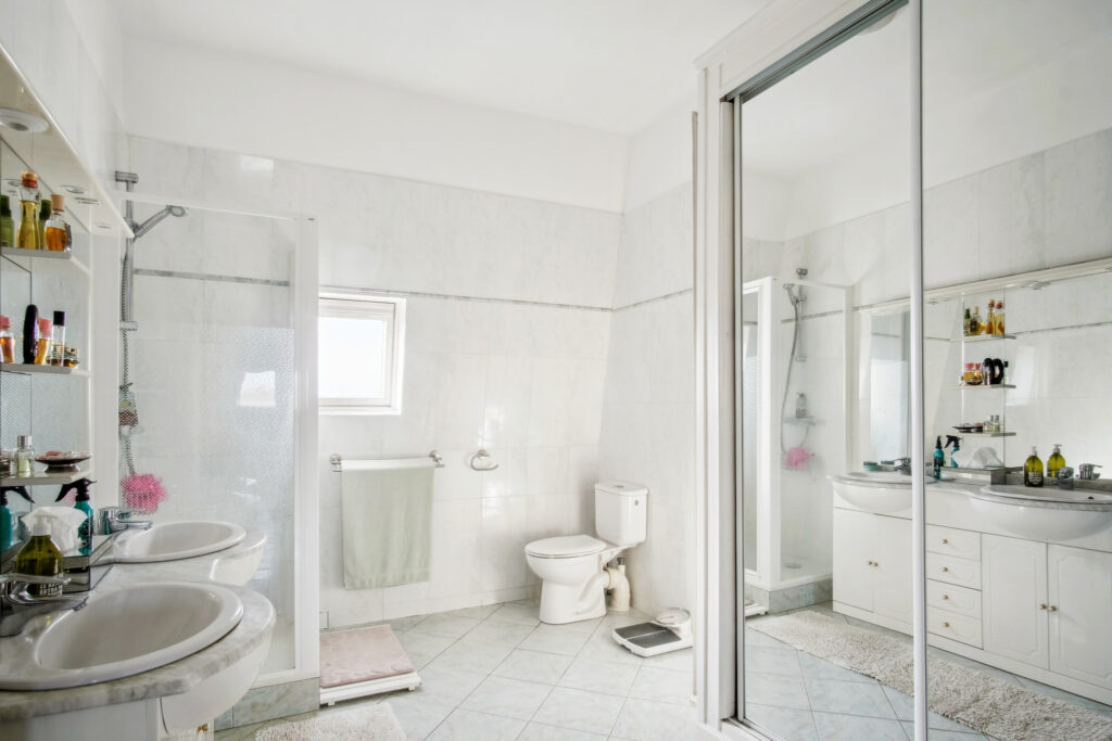 Dampmart (77) – Villas des Lions – Maison de Maître avec vue – 11 pièces – 5 chambres – NR  – 340 m²