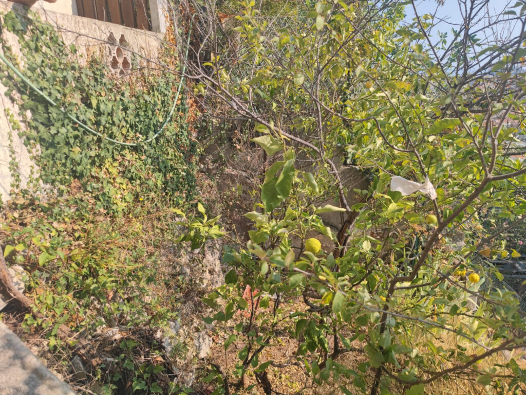 EXCELLENT POTENTIEL POUR CE HAUT DE VILLA DE 52 M2 avec BALC – 2 pièces – 1 chambre – 10  – 52 m²