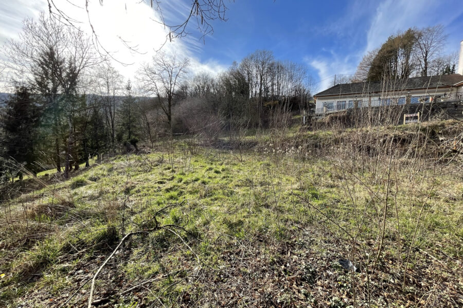 Terrain à vendre à Belmont-luthézieu