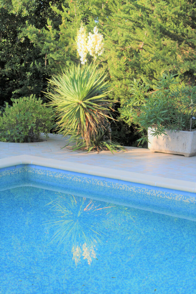 Maison individuelle avec grand terrain et piscine – 7 pièces – 5 chambres – 6  – 150 m²