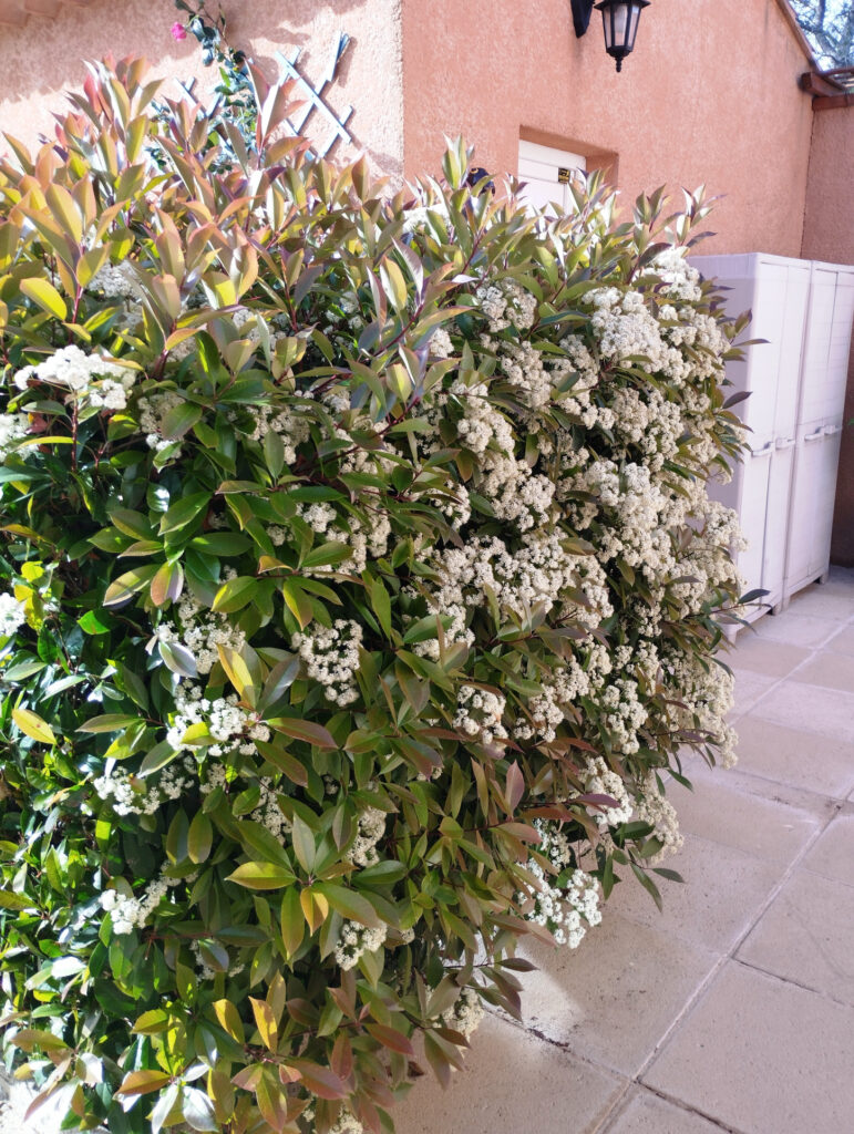 Villa individuelle avec piscine – 5 pièces – 3 chambres – 6  – 155 m²