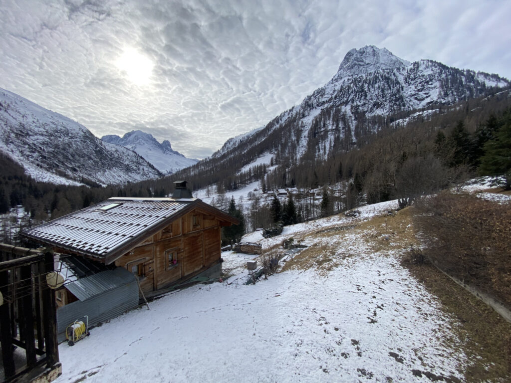 Studio avec  Mezzanine  ‘Loriaz’ – 1 pièce – 1 chambre – NR  – 20 m²