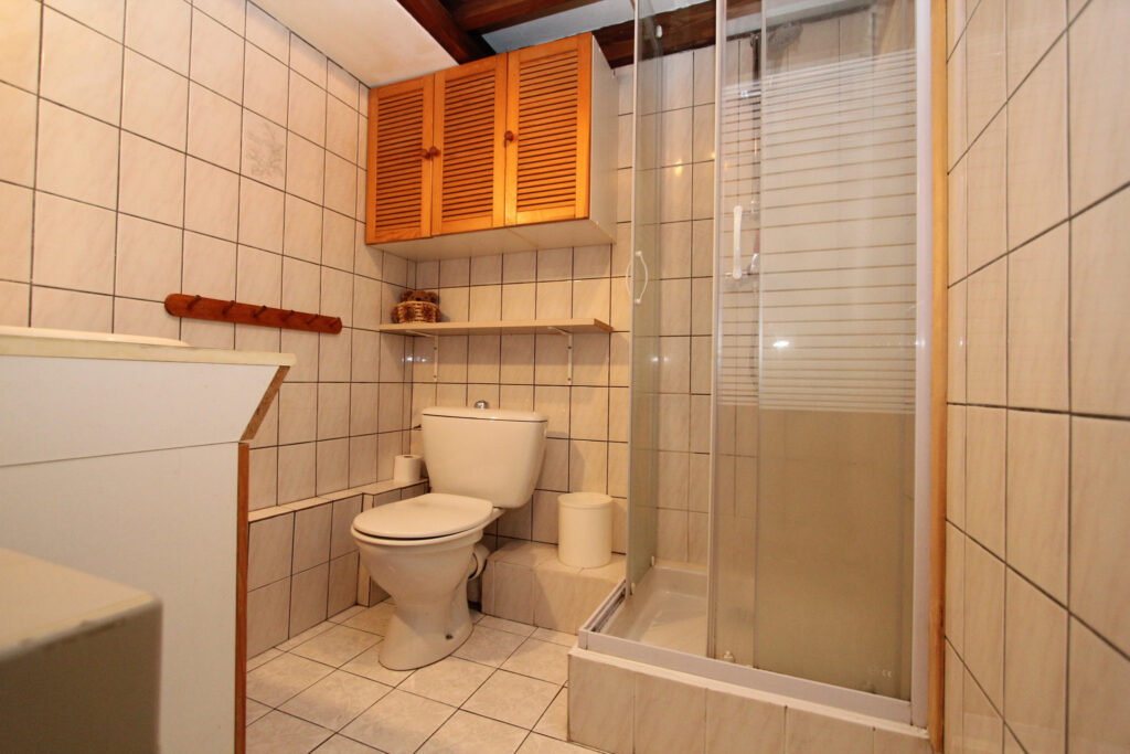 Studio avec  Mezzanine  ‘Loriaz’ – 1 pièce – 1 chambre – NR  – 20 m²